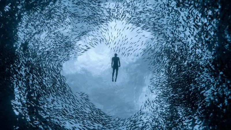 Freediving workshops in Hyderabad introduce the art of diving on a single breath