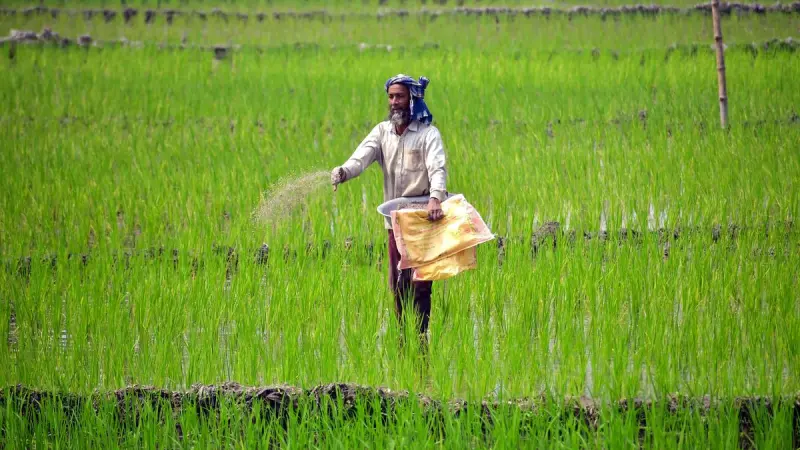 Fuel, fertiliser prices may remain high for prolonged period: IMF, World Bank, IEA