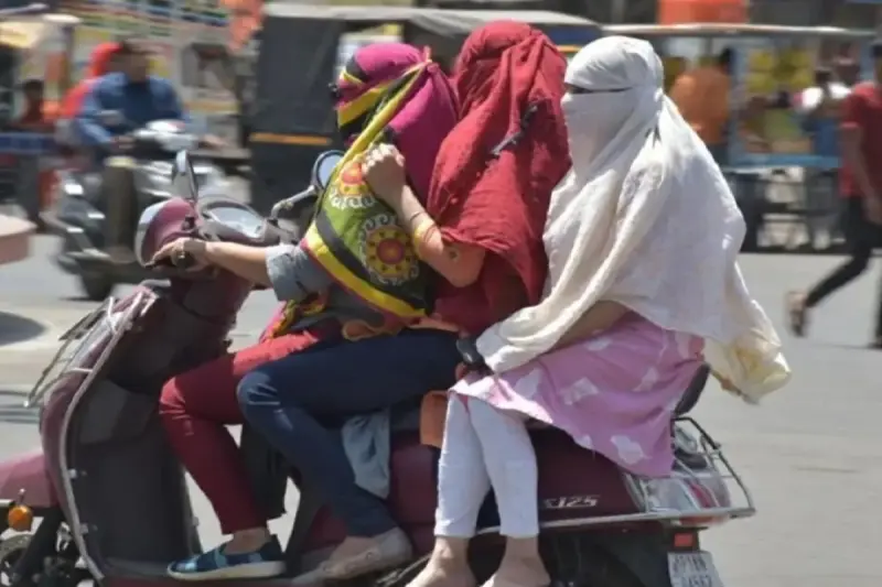 गर्मी की चपेट में जीवन: मच्छरों का उछाल और दुग्ध-जीवन पर असर