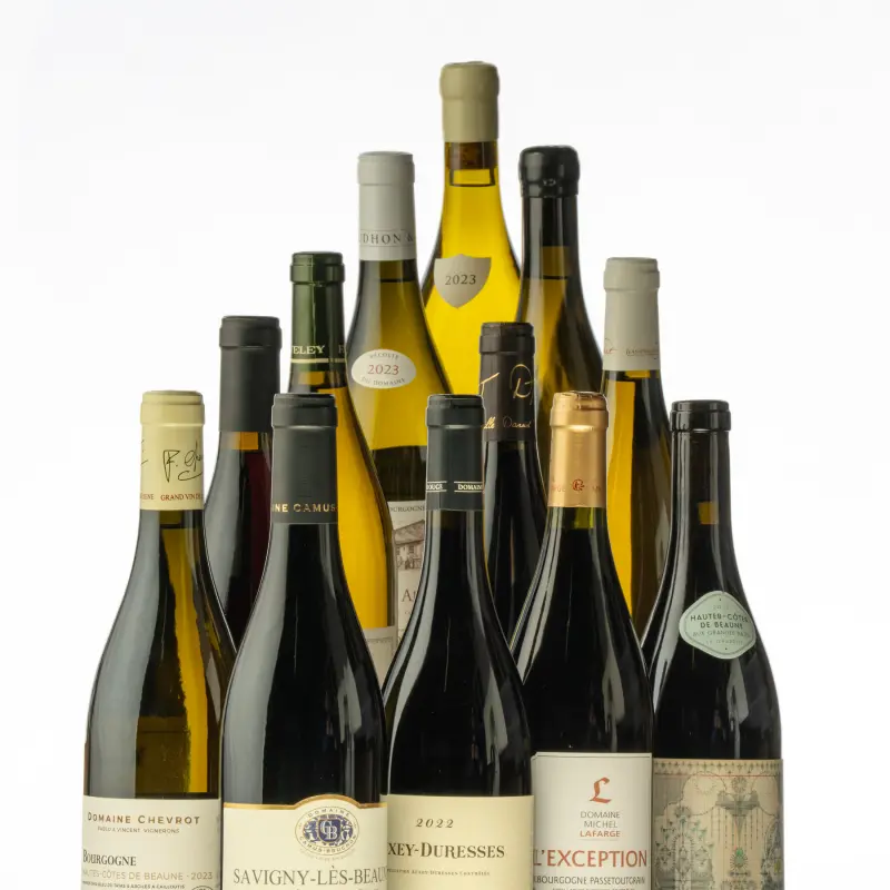 Affordable Burgundy: 12 Wines to Sip for $50 or Less