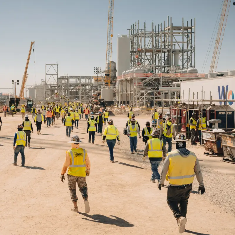 Carbon Removal Sector Falters as Microsoft Pullback Signals Slower Growth