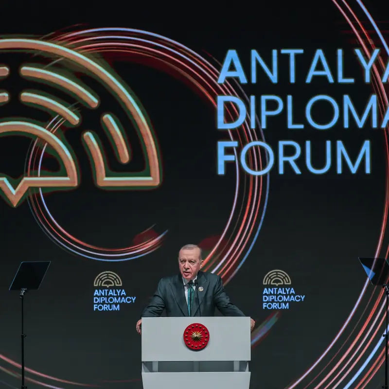 Turkey at a Crossroads: How Middle Powers Weigh a Necessarily Influential, Yet Unpredictable United States