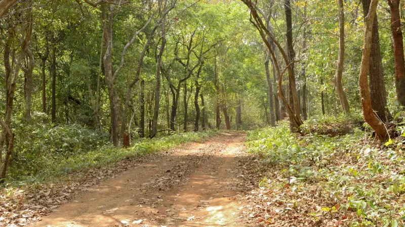 From Red Sun to a New Dawn: Reimagining India’s Post-LWE Governance