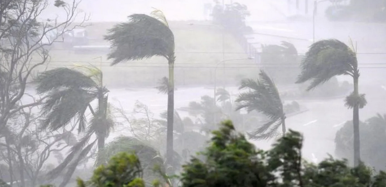 साइक्लोन 'दितवाह' ने श्रीलंका में मचाई तबाही, 46 मौतें; तमिलनाडु समेत पांच राज्यों में अलर्ट जारी