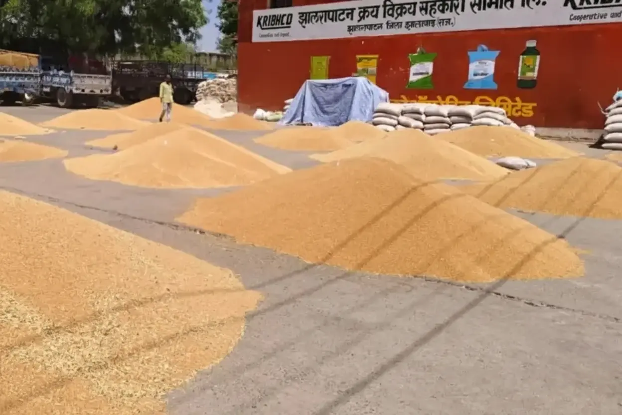 Mandi: सीजन में पहली बार सर्वाधिक दामों पर हुई गेहूं की खरीद, 14,500 रुपए प्रति क्विंटल बिका धनिया, जानें हाड़ौती के मंडी भाव