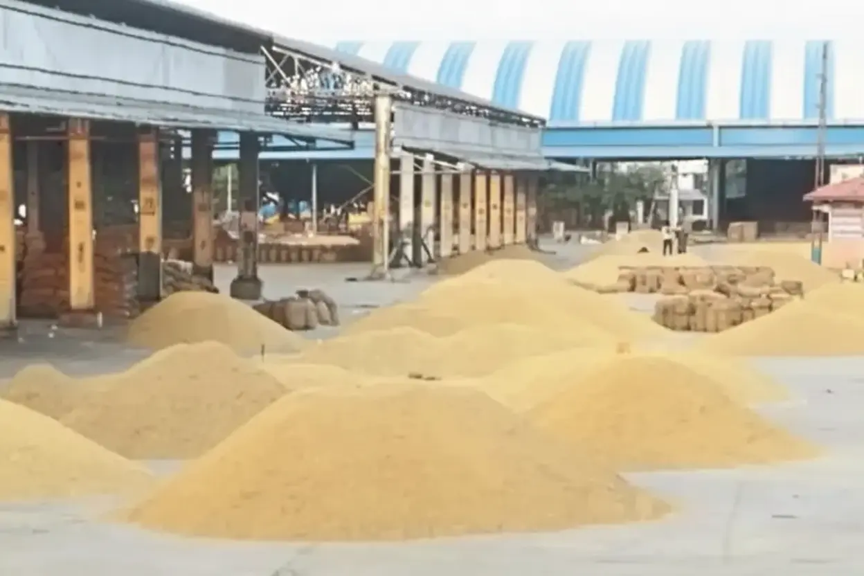 Kota Mandi Bhav: चना, सरसों, धनिया और लहसुन की कीमतें तेज