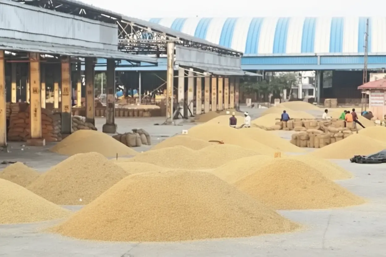 क Kota Mandi Bhav: 18 अप्रैल 2026 की मंडी आवक और दामों का विश्लेषण