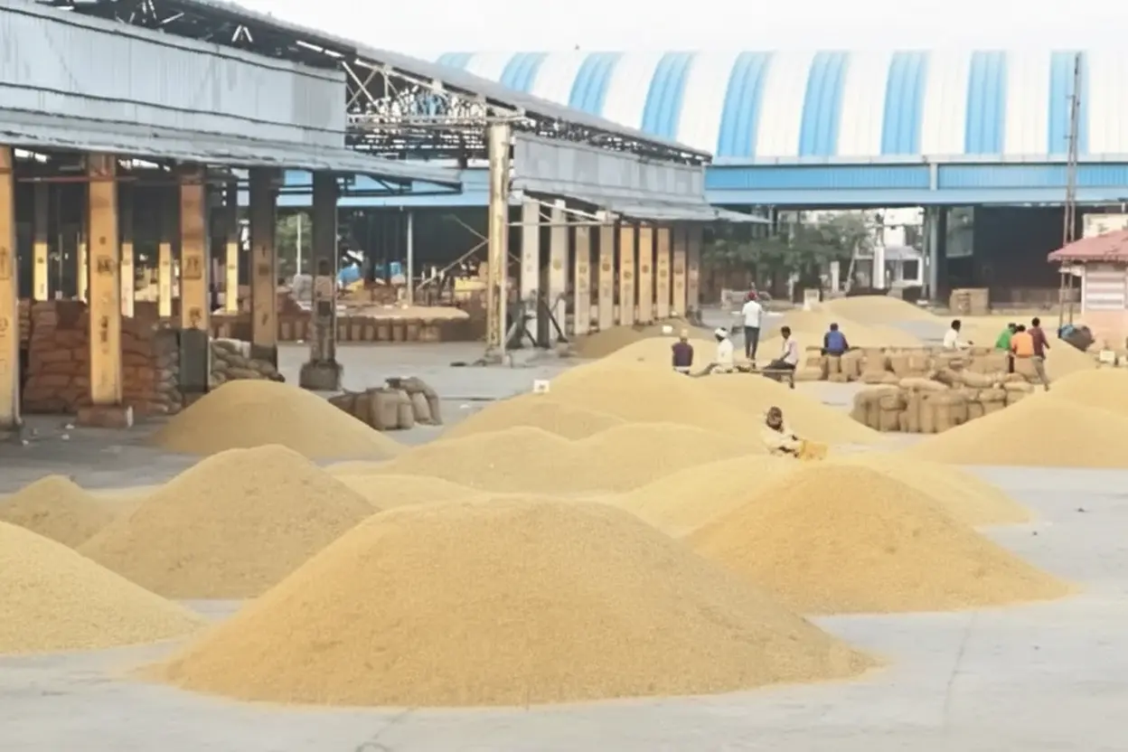 Kota Mandi Bhav: चना, सरसों, धनिया व लहसुन के भावों में तेज बदलाव